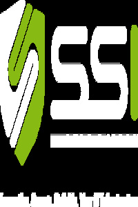 Logo - SSI IT Consulting