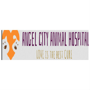Logo - Angel City Animal Hospital