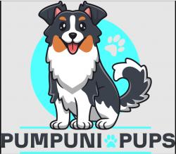 Logo - Pumpuni Pups Logo - Pumpuni Pups