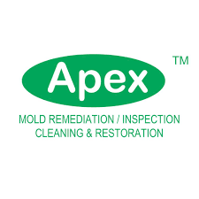 Logo - Apex Mold Specialists