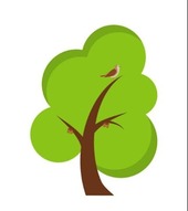 Logo - Hiteshi Infotech