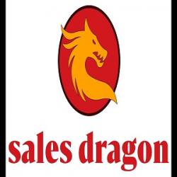 лого - Sales Dragon