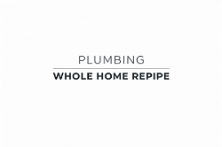 Logo - Plumbing Whole Home Repipe