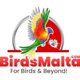Logo - BirdsMalta
