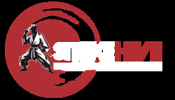 Logo - StrikeHive Martial Arts Academy