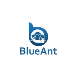 Logo - Blue Ant Cleaning Services