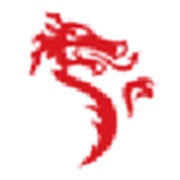 Logo - Dragon Sourcing