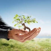 Logo - Hunnicutt Tree Service