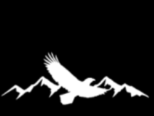 Logo - Eagle Family Dental
