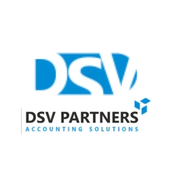 Logo - DSV Partners