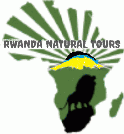 Logo - Rwanda Natural Tours