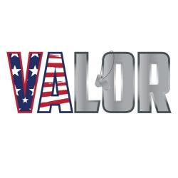 Logo - Valor
