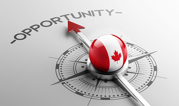 Canadian Business Opportunities